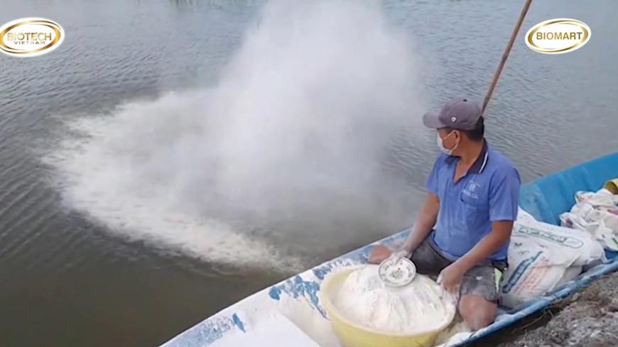 Sử dụng vôi đúng cách cho ao nuôi cá