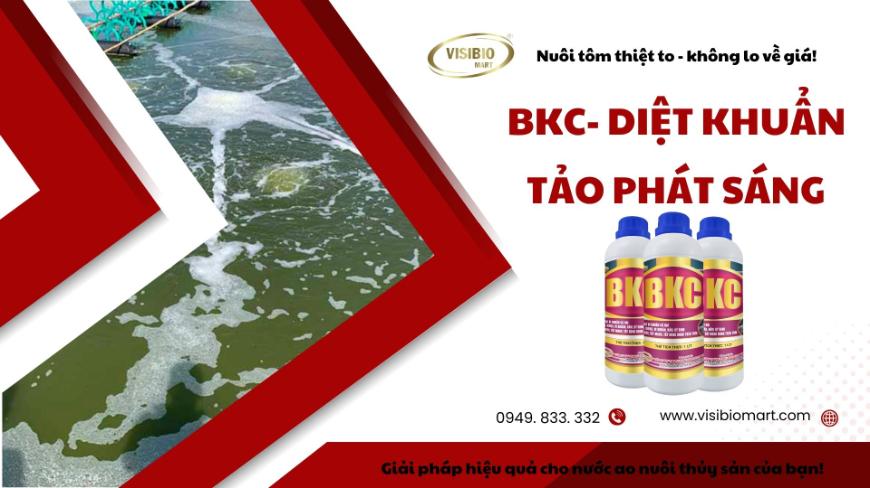 BKC - diệt khuẩn, tảo phát sáng là giải pháp hiệu quả cho nước ao nuôi thủy sản của bạn