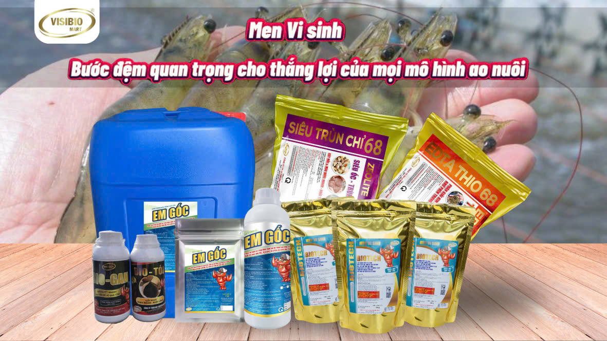 MEN VI SINH - BƯỚC ĐỆM THẮNG LỢI CỦA MỌI MÔ HÌNH