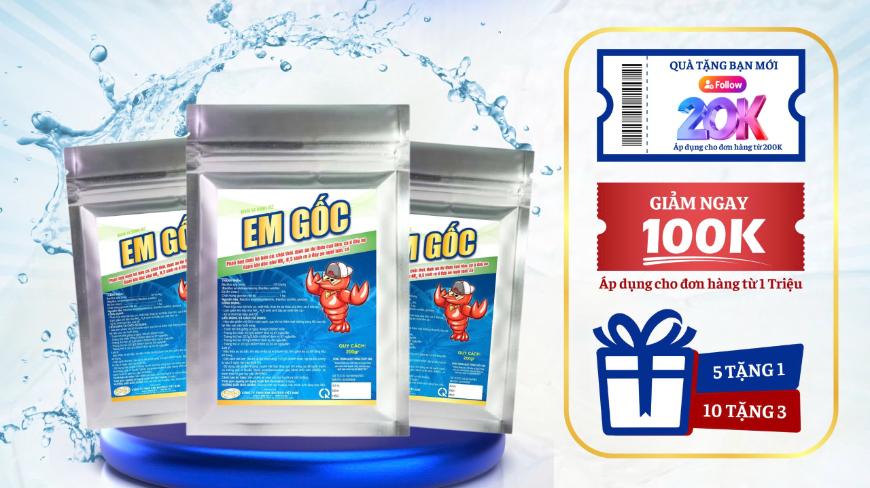 EM GỐC- CHẾ PHẨM VI SINH CHƯA BAO GIỜ HẾT HOT