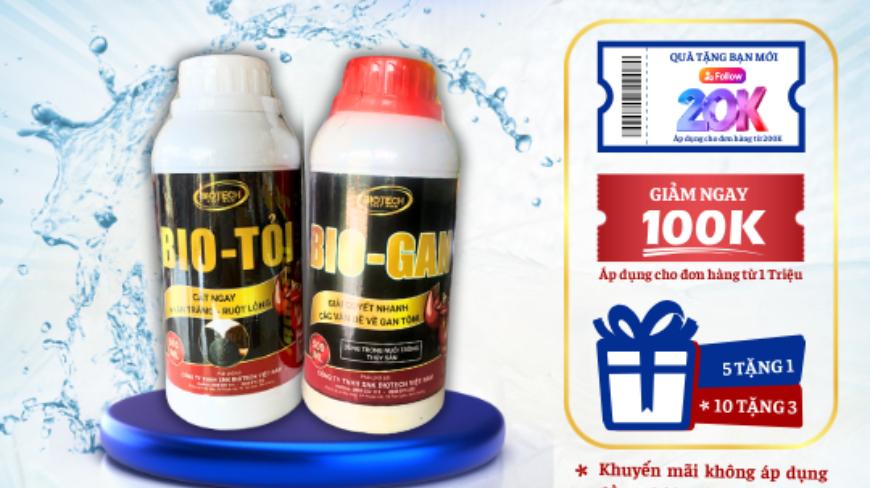 COMBO GAN KHỎE RUỘT ÊM - HỔ TRỢ TIÊU HÓA ,BÀI TIẾT ĐỘC TỐ GAN, TĂNG CƯỜNG CHỨC NĂNG GAN CHO TÔM