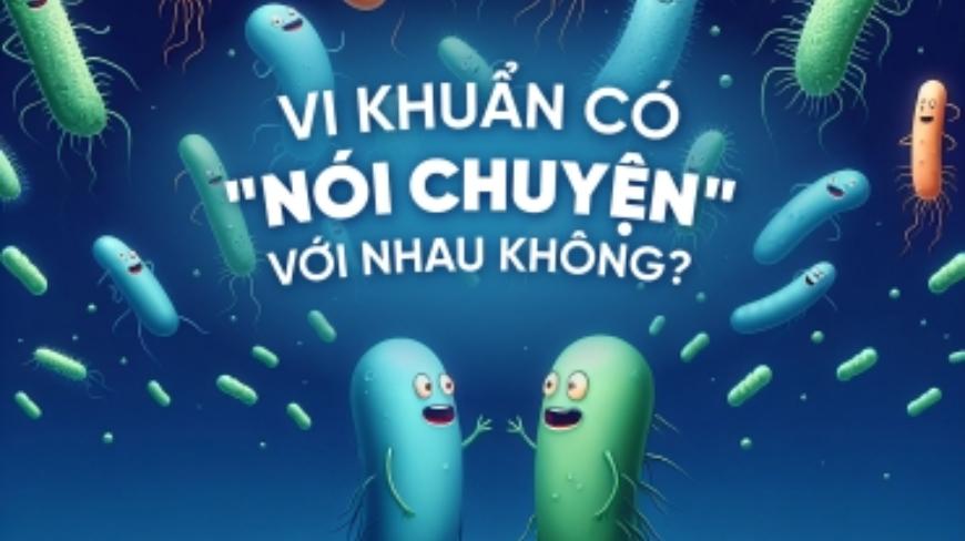 Vi khuẩn có nói chuyện với nhau không?
