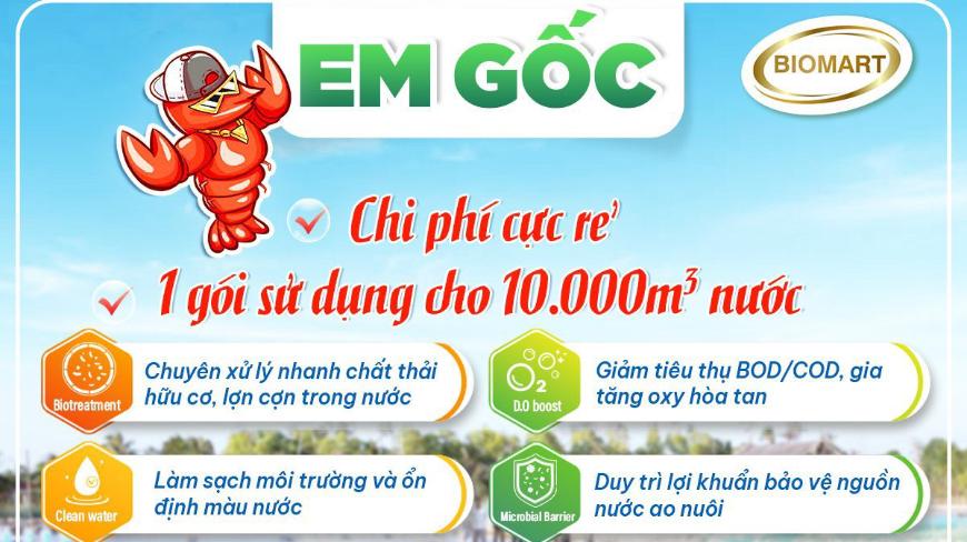 EM GỐC - GIẢI PHÁP LÀM SẠCH NƯỚC VÀ ĐÁY AO NUÔI