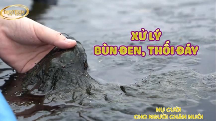 Xử lý nước và đáy ao nuôi thủy sản