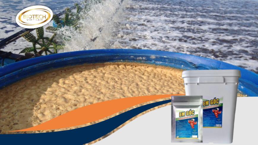 Các tiêu chí đánh giá chất lượng vi sinh sau khi ủ