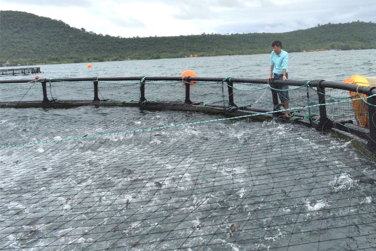 Kiên Giang nâng chỉ tiêu đạt trên 830.000 tấn thủy sản năm 2025