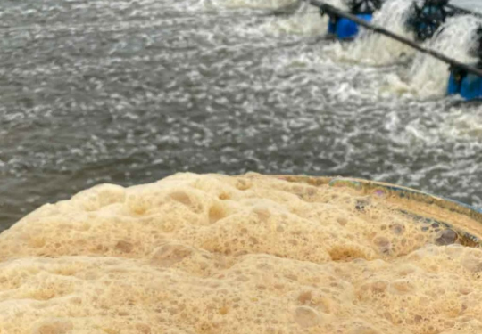 Phân biệt sự khác nhau giữa men vi sinh bột và men vi sinh nước