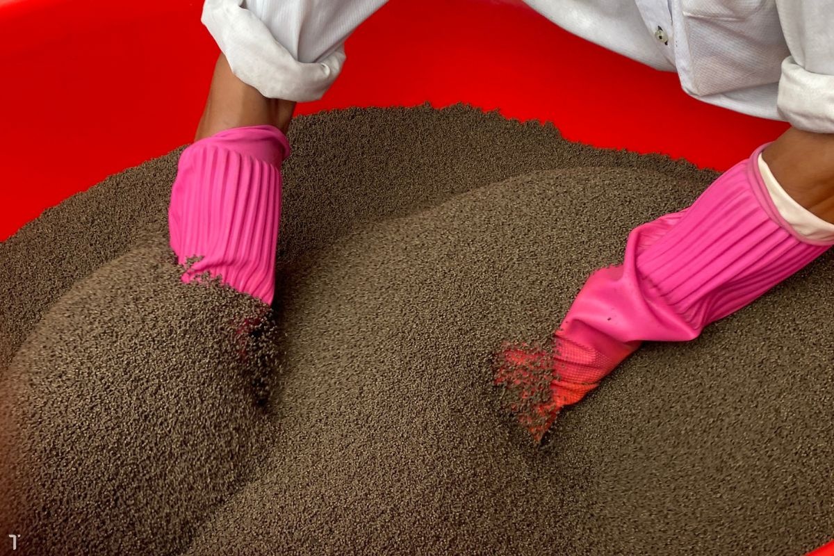 Kỹ thuật trộn khoáng và vitamin vào thức ăn không bị hao hụt