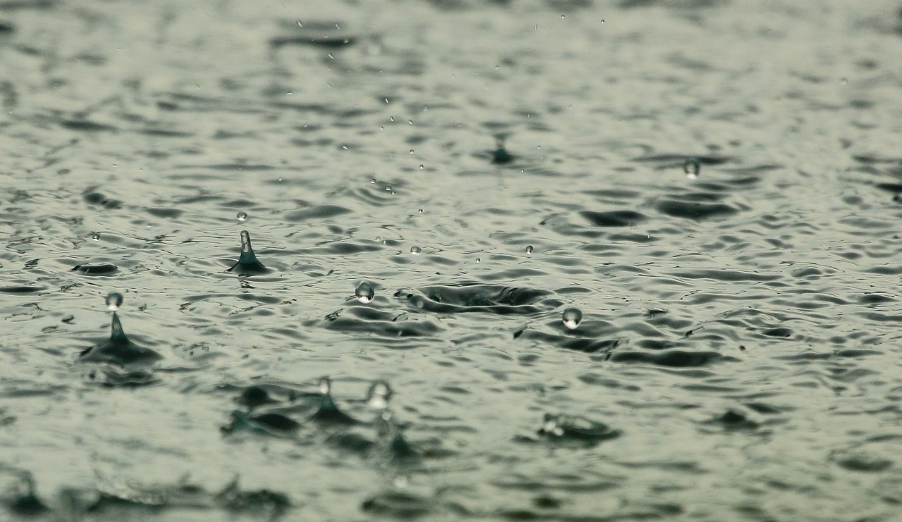 Mưa lớn ảnh hưởng như thế nào đến các thông số môi trường và sức khỏe tôm nuôi?