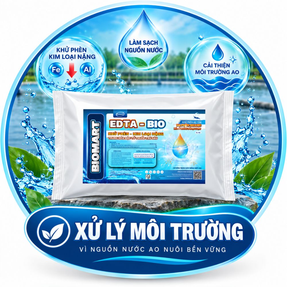 XỬ LÝ MÔI TRƯỜNG