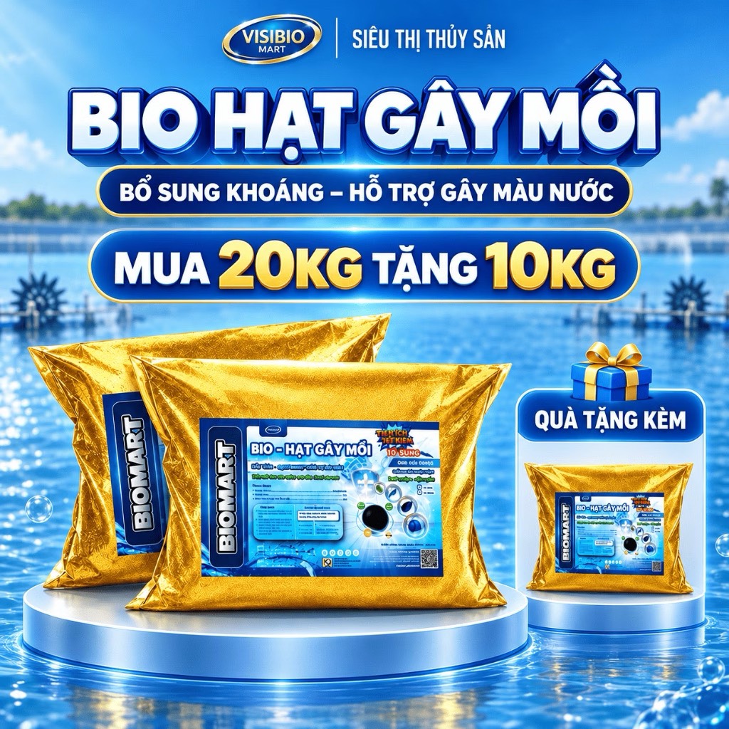 COMBO 2 BAO BIO HẠT GÂY MỒI 10KG - TẶNG 1 BAO 10KG