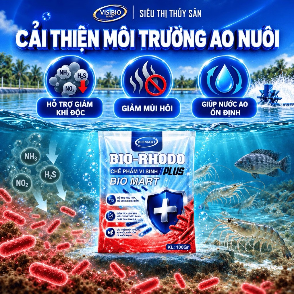 COMBO 5 GÓI BIO RHODO PLUS - TẶNG 2 GÓI