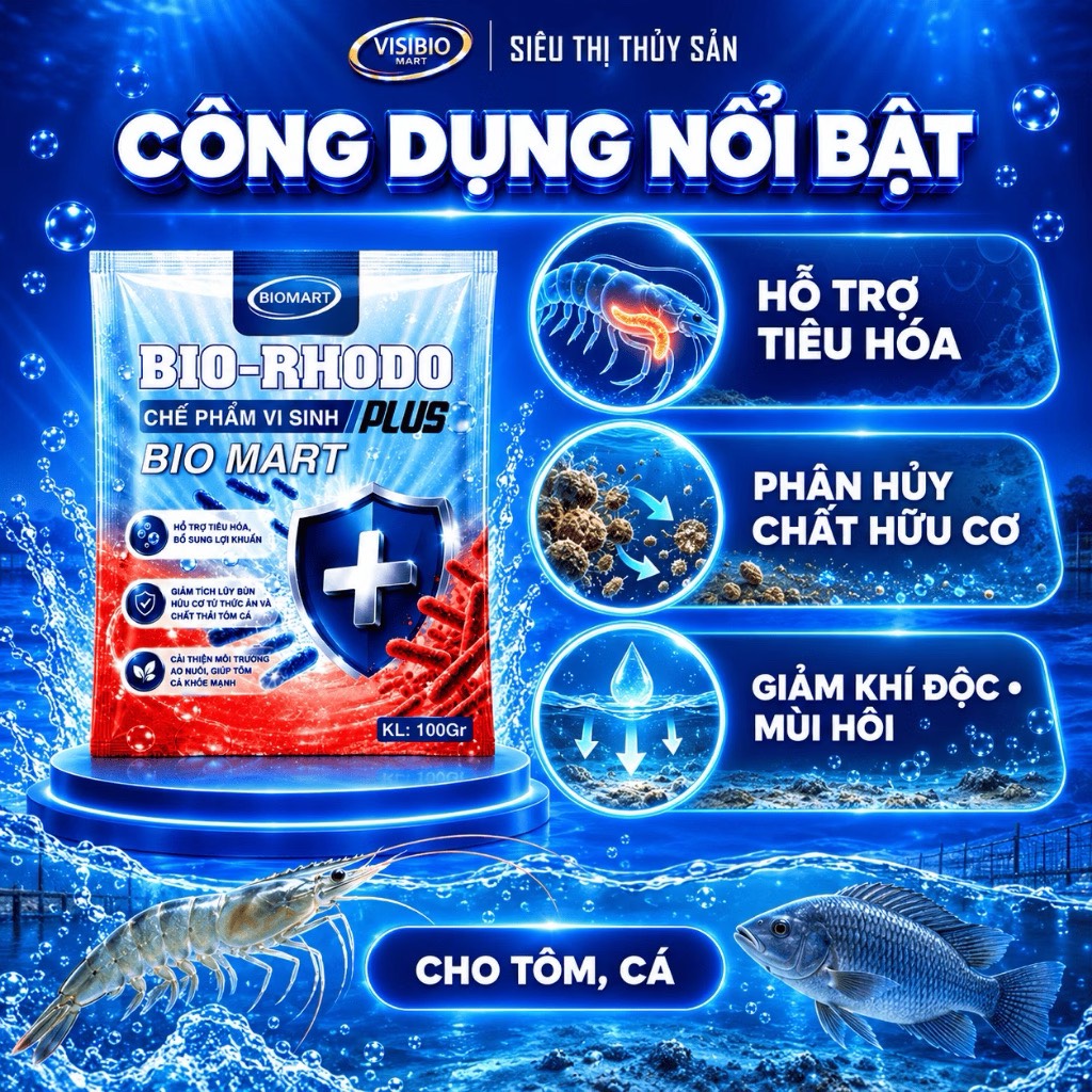 COMBO 10 GÓI BIO RHODO PLUS - TẶNG 5 GÓI