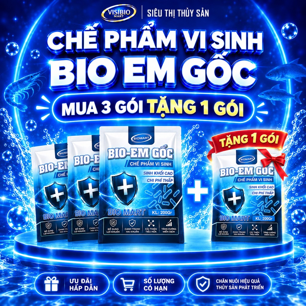 COMBO 3 GÓI EM GỐC - TẶNG 1 GÓI