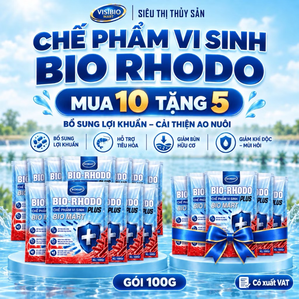 COMBO 10 GÓI BIO RHODO PLUS - TẶNG 5 GÓI