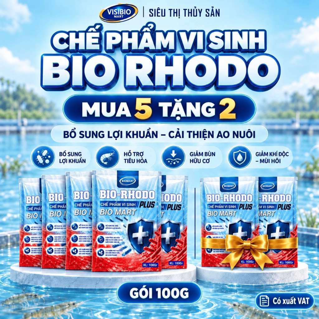 COMBO 5 GÓI BIO RHODO PLUS - TẶNG 2 GÓI