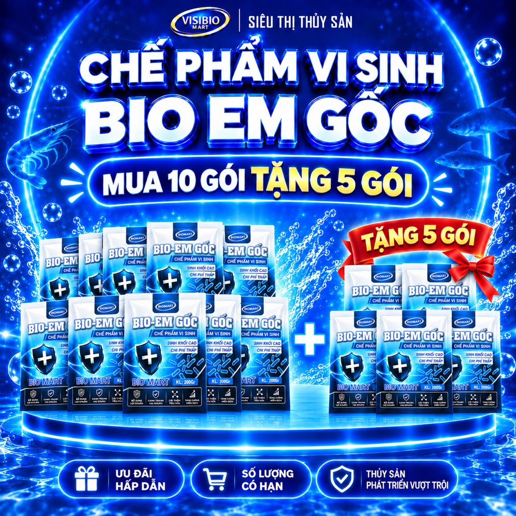 COMBO 10 GÓI EM GỐC - TẶNG 5 GÓI