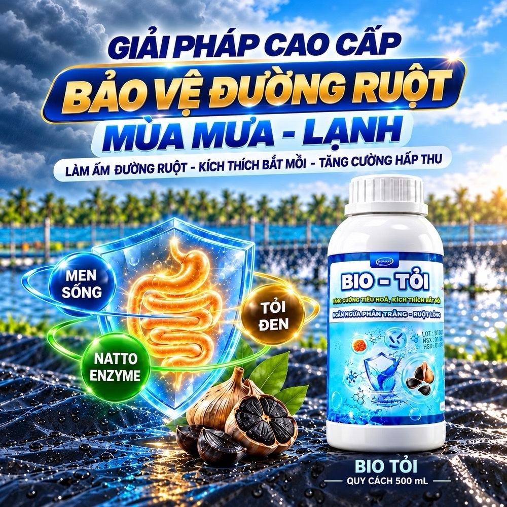 COMBO 5 CHAI BIO TỎI 500ML - TẶNG 2 CHAI
