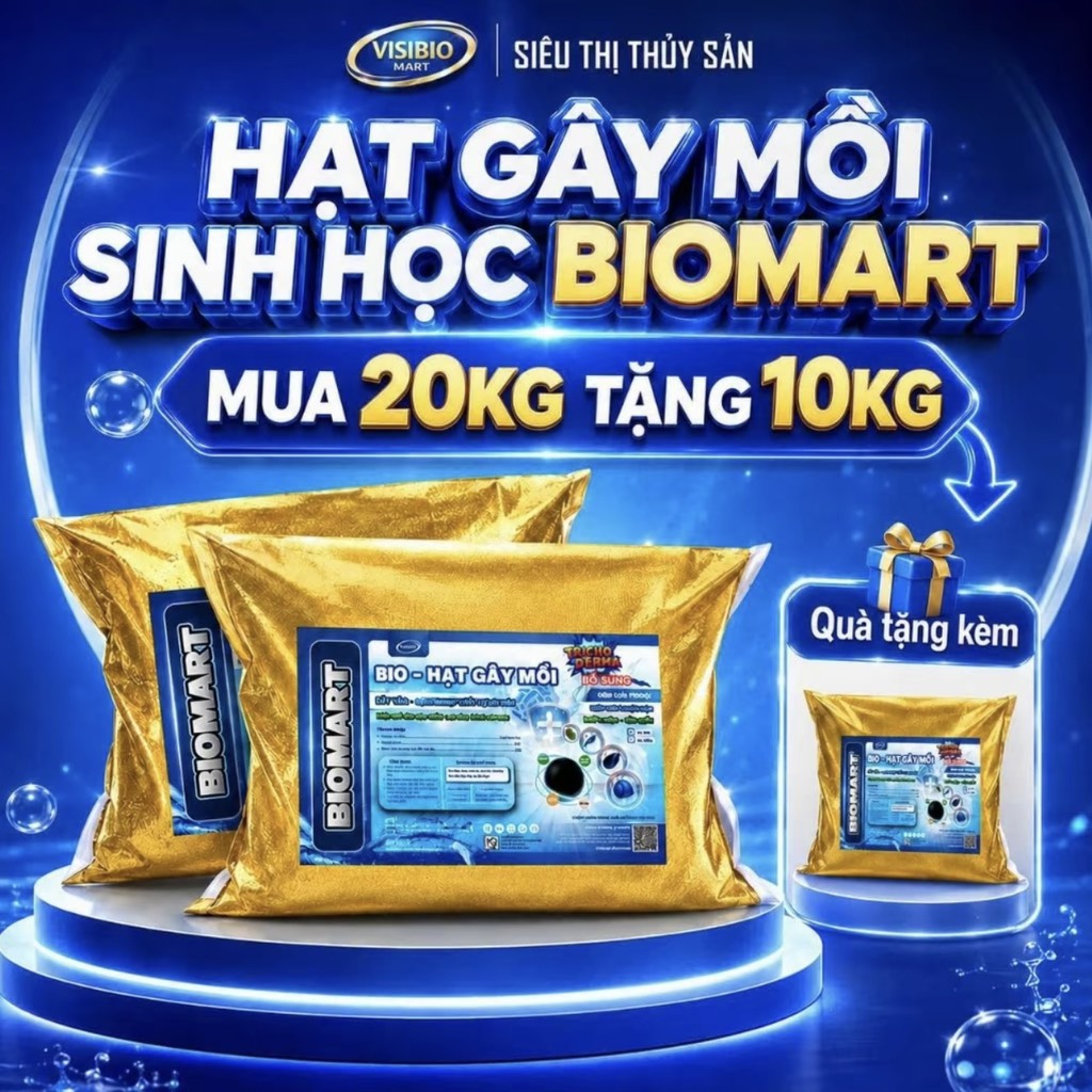 COMBO 2 BAO BIO HẠT GÂY MỒI 10KG - TẶNG 1 BAO 10KG