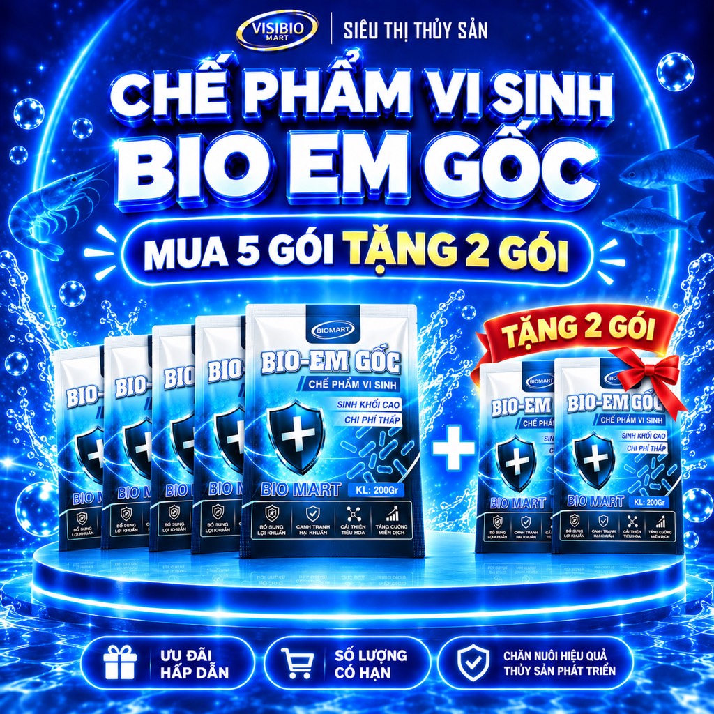 COMBO 5 GÓI EM GỐC - TẶNG 2 GÓI