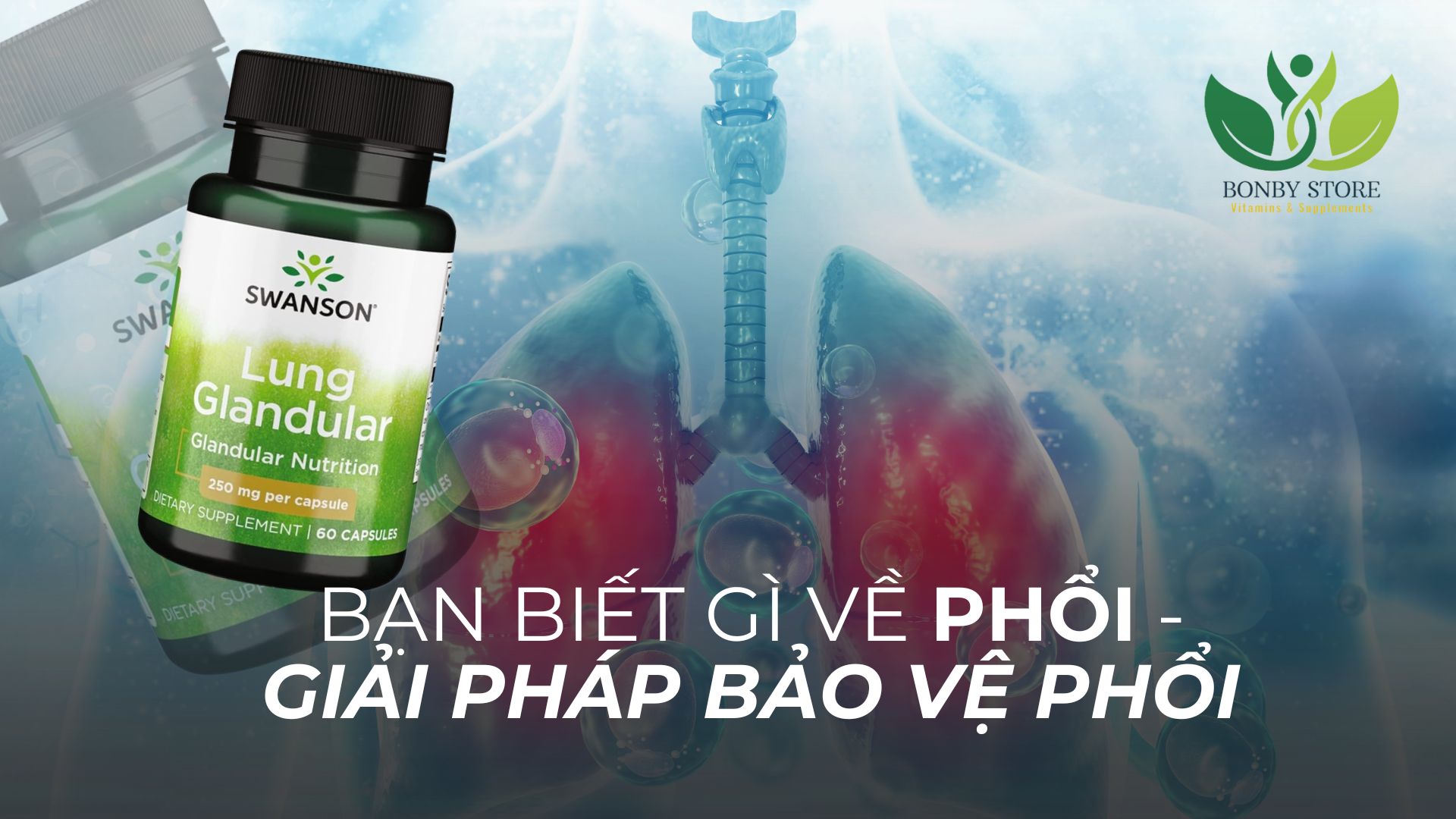 Bạn Biết Gì Về Phổi - Giải Pháp Bảo Vệ Phổi Tối Ưu
