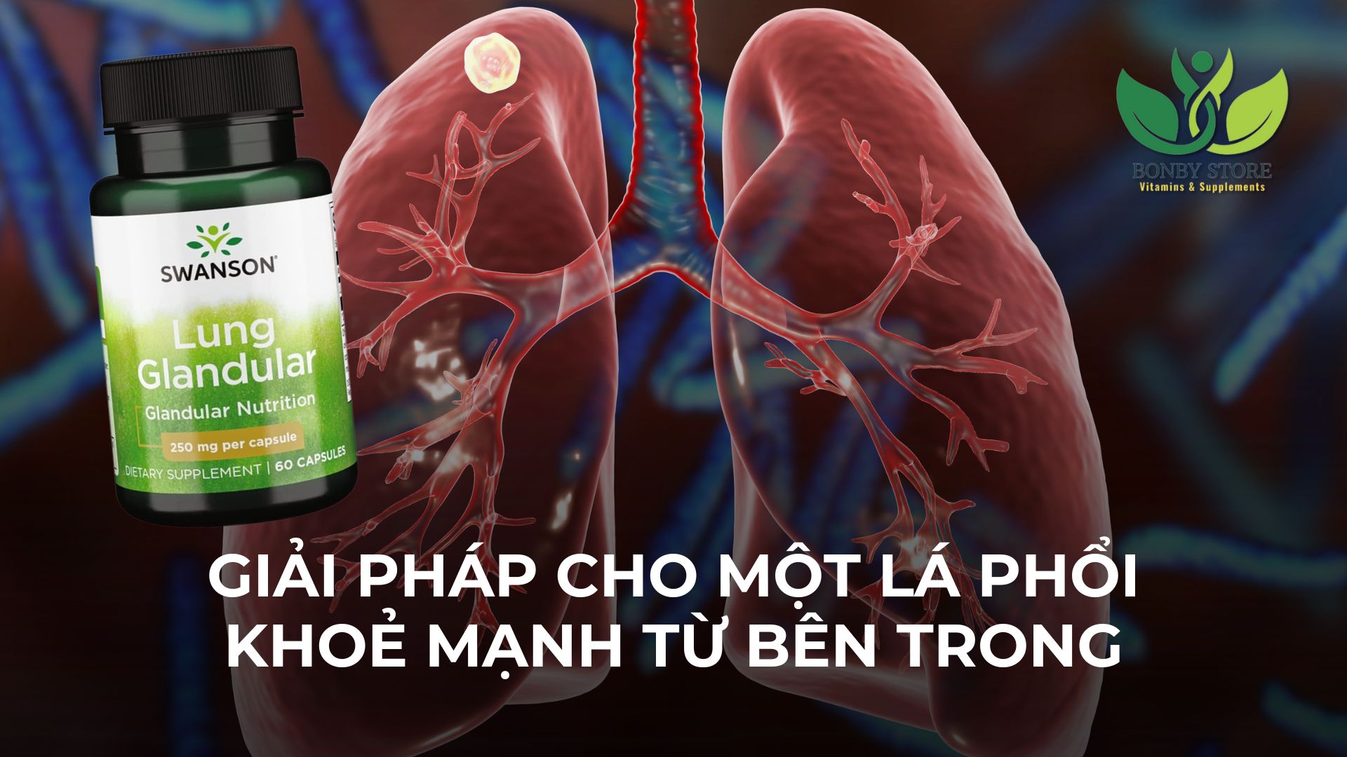 GIẢI PHÁP CHO MỘT LÁ PHỔI KHOẺ MẠNH TỪ BÊN TRONG