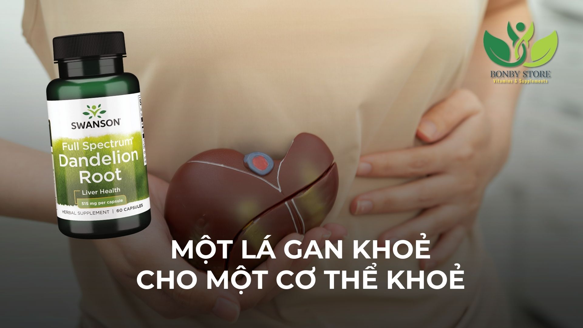 MỘT LÁ GAN KHOẺ CHO MỘT CƠ THỂ KHOẺ MẠNH - GIẢI PHÁP HỖ TRỢ TỪ SWANSON DANDELION ROOT
