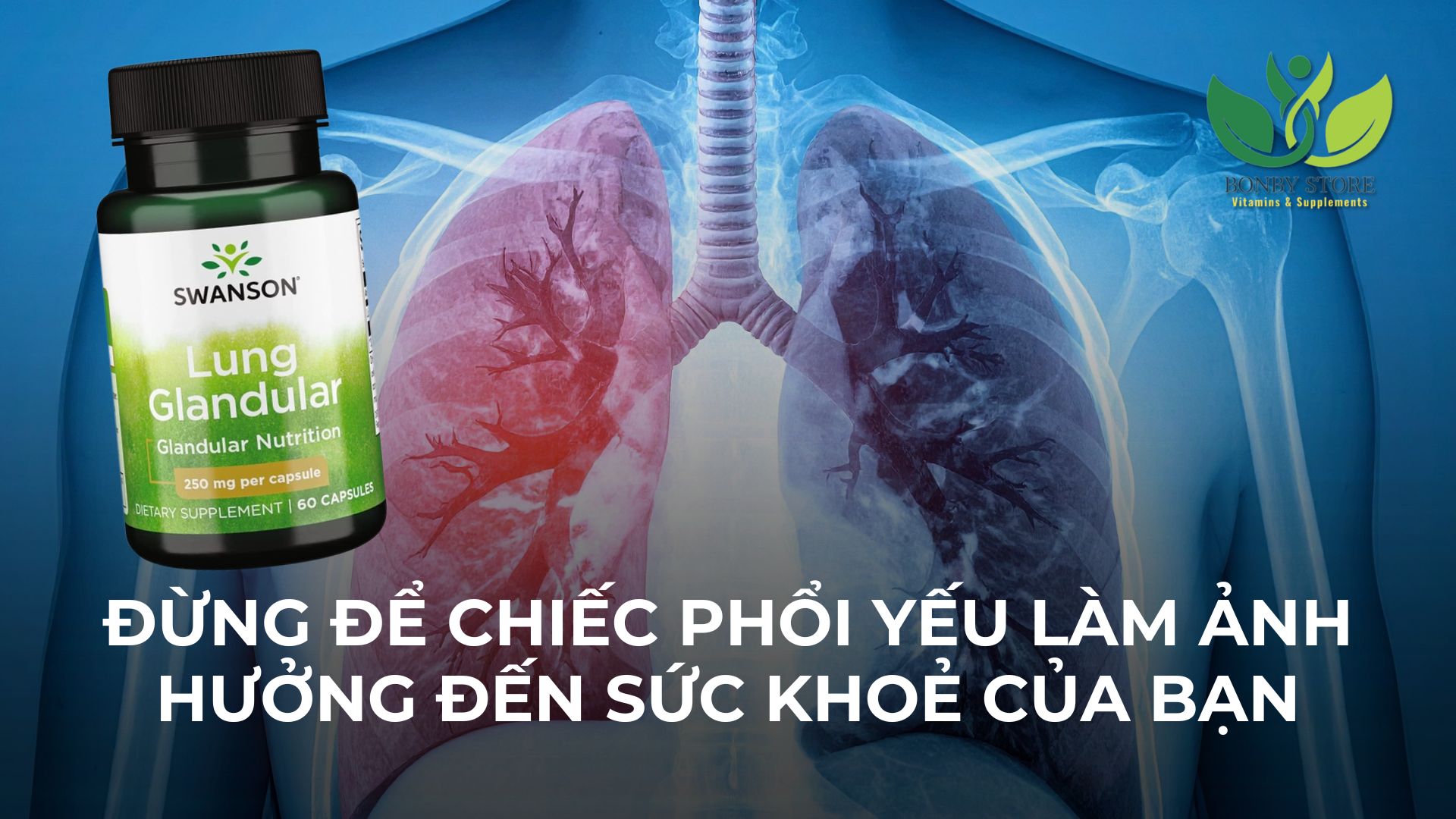 ĐỪNG ĐỂ CHIẾC PHỔI YẾU LÀM ẢNH HƯỞNG ĐẾN SỨC KHOẺ CỦA BẠN