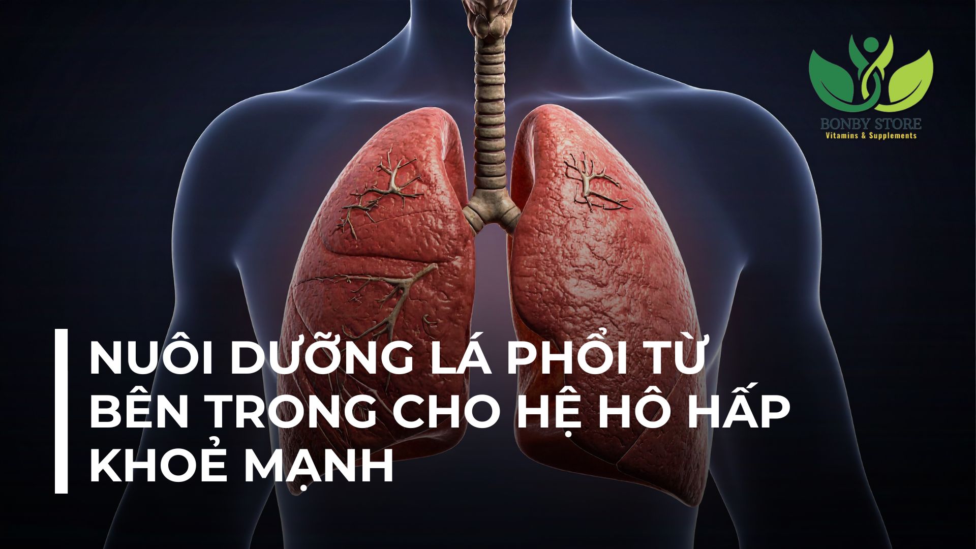 NUÔI DƯỠNG LÁ PHỔI TỪ BÊN TRONG CHO HỆ HÔ HẤP KHOẺ MẠNH