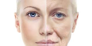 Collagen và sự lão hóa: Những điều bạn cần biết
