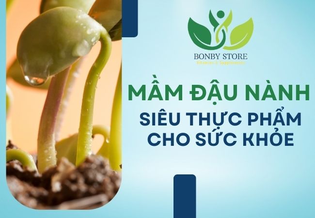 Mầm Đậu Nành: Siêu Thực Phẩm Cho Sức Khỏe