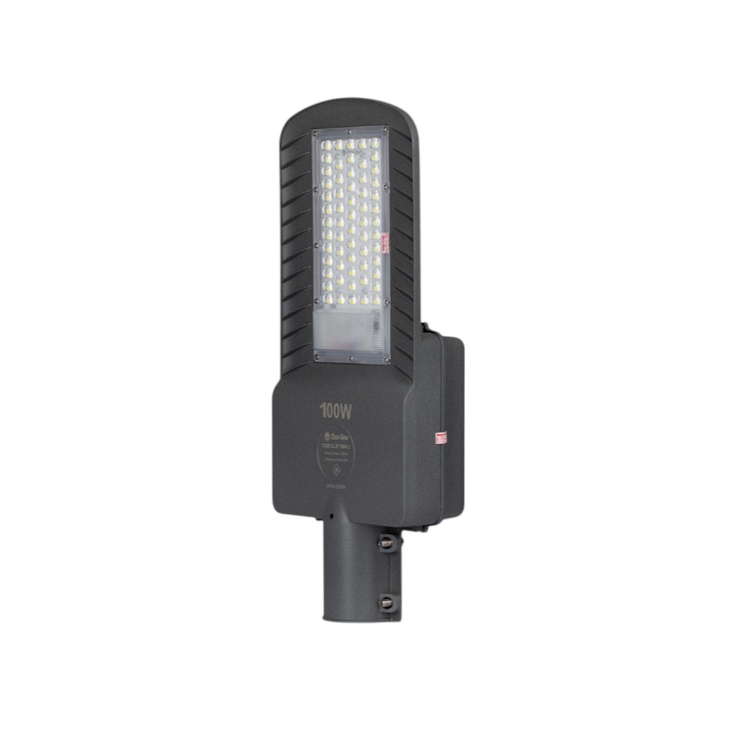 Đèn Đường Năng Lượng Mặt Trời 100W Rạng Đông CSD05