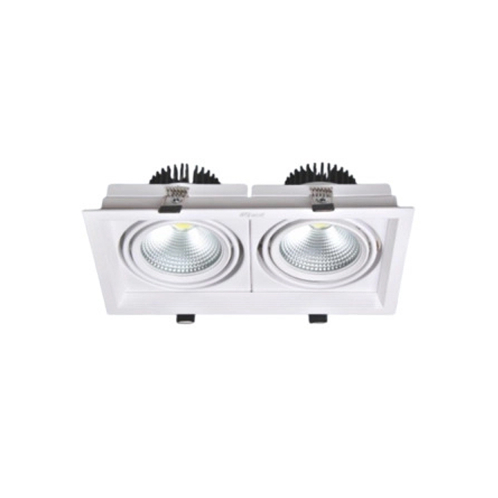 Đèn LED downlight Anfaco AFC 758/2-12Wx2