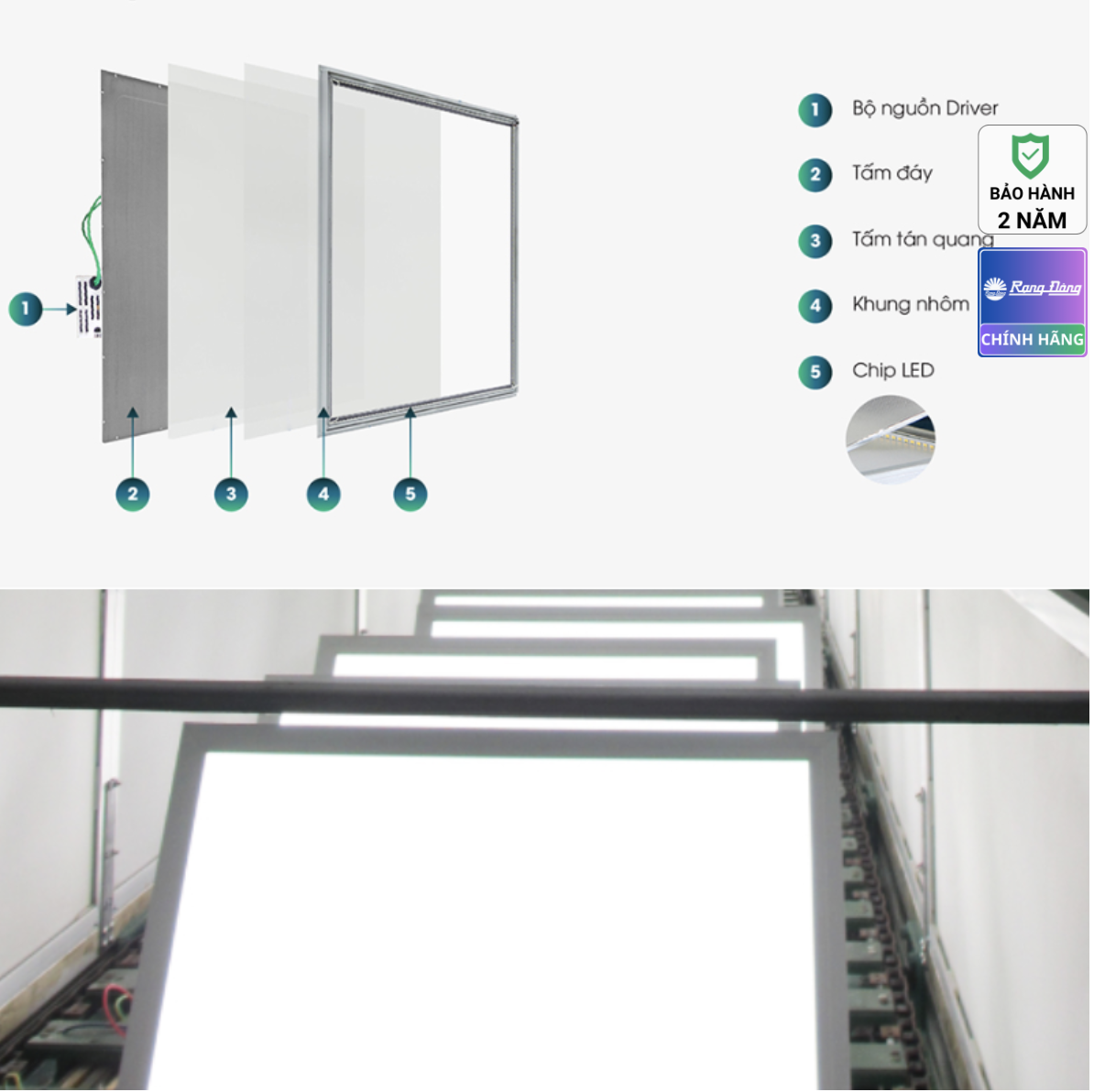 Đèn LED Panel 600*600 Chiếu Cạnh P08 50W RẠNG ĐÔNG