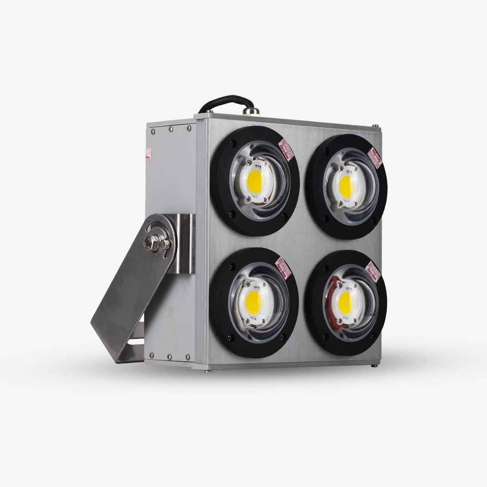 Đèn LED Đánh Cá 500W DC08 Rạng Đông