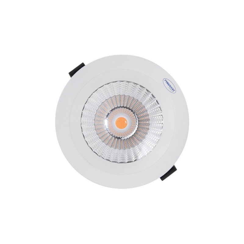 Đèn LED Downlight Chống Thấm 40W Paragon IP65