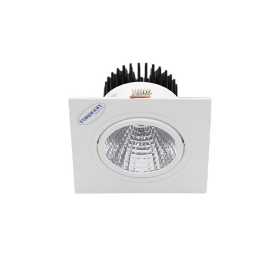 Đèn Downlight Âm Trần 10W Paragon OLS110L10