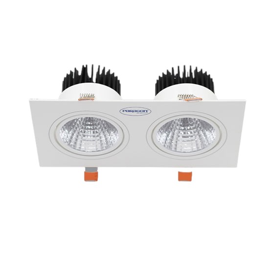 Đèn Downlight Âm Trần Đôi 2x10W Paragon OLS210L20