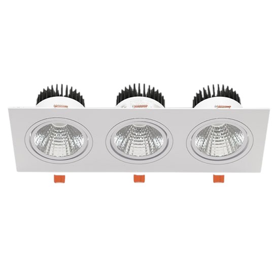 Đèn Downlight Âm Trần 3x10W Paragon OLS310L30