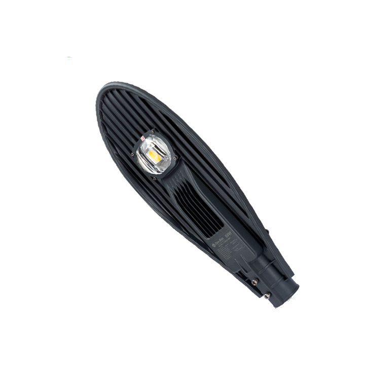 Đèn đường LED Rạng Đông CSD02 30W/60W/70W