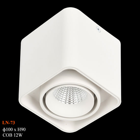 Đèn Ống Bơ Vuông 12w Euroto LN-73