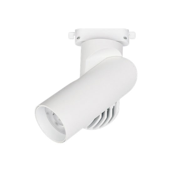 Đèn Ray Rọi Spotlight 10W Euroto FR-361/364