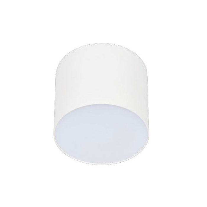 Đèn Lon Nổi Chống Chói Euroto 12W LN-211/LN216