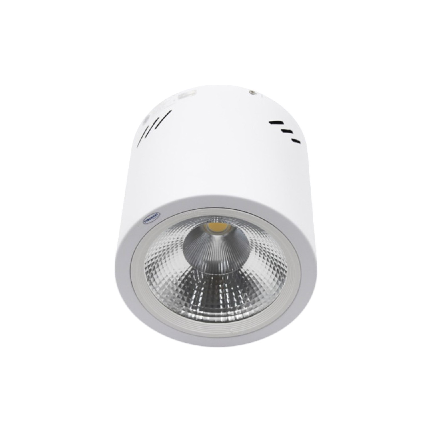 Đèn LED Downlight 25W Gắn Nổi Trụ Tròn - Paragon PSDOO196L25