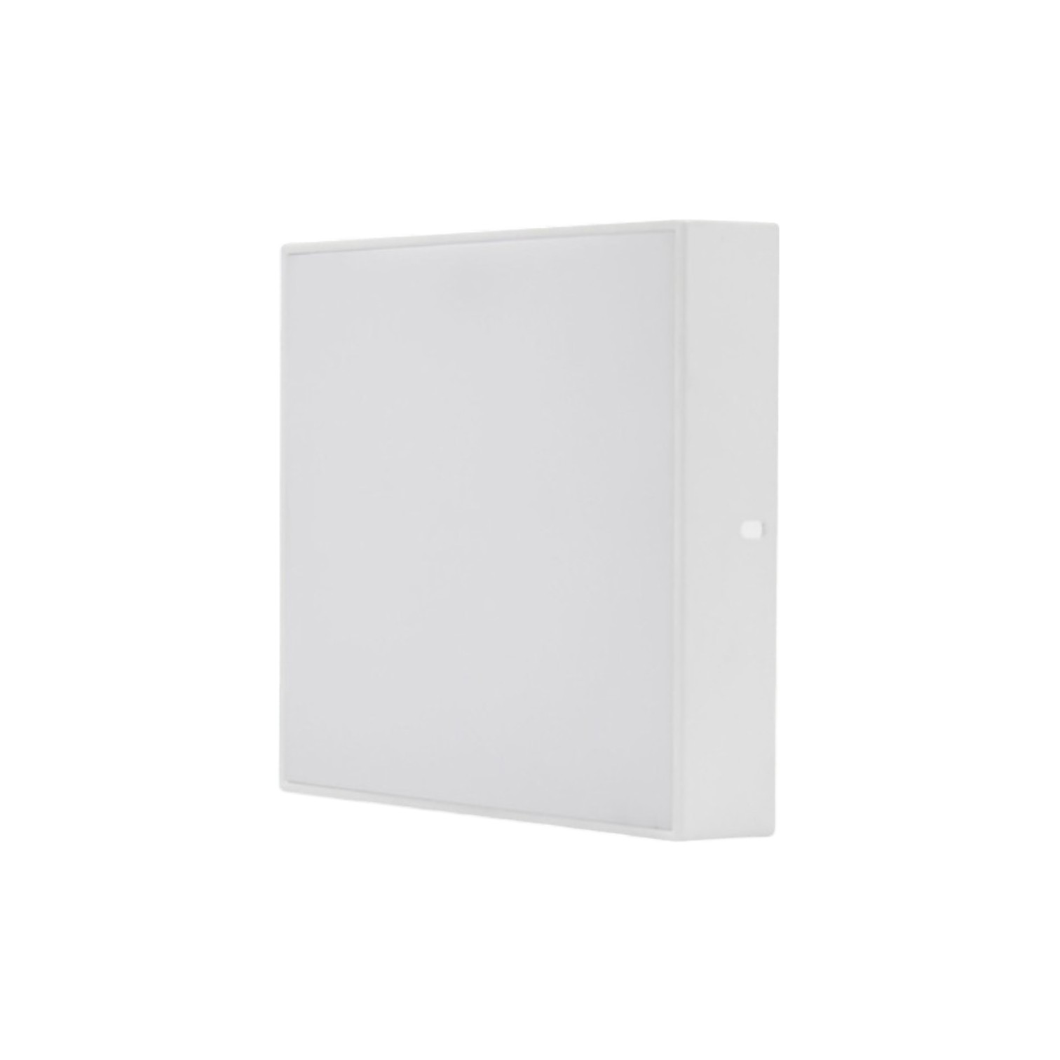 Đèn LED Downlight 24W Gắn Nổi Tràn Viền-Paragon