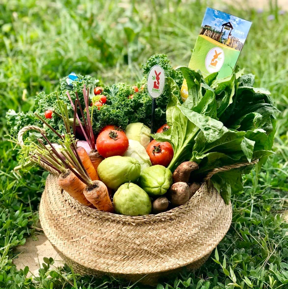 Nông sản tươi ngon - vẹn tròn như ý