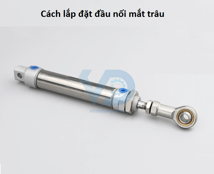 Vòng bi mắt trâu