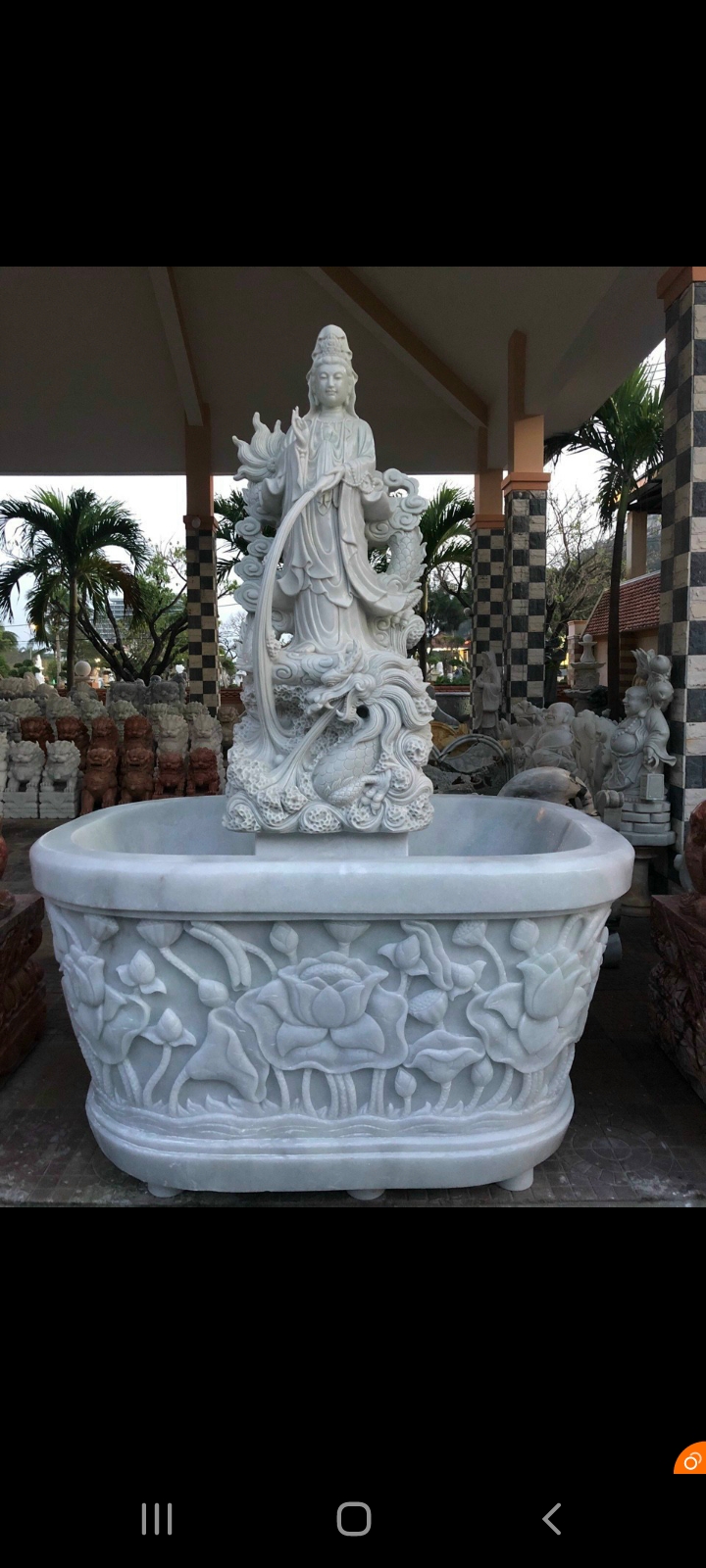 QÂ rồng