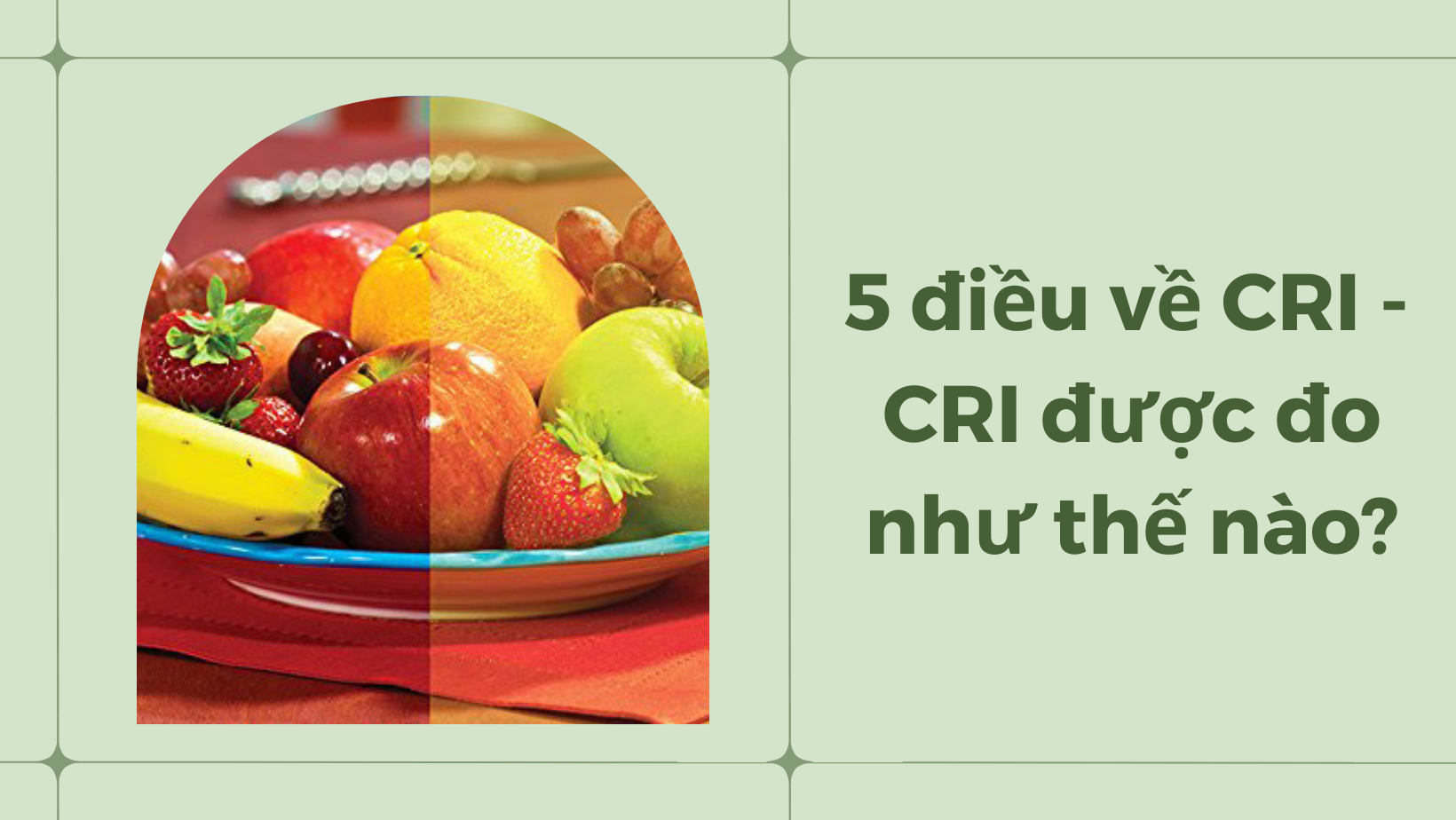 5 ĐIỀU VỀ CRI CẦN BIẾT - CRI ĐƯỢC ĐO NHƯ THẾ NÀO?