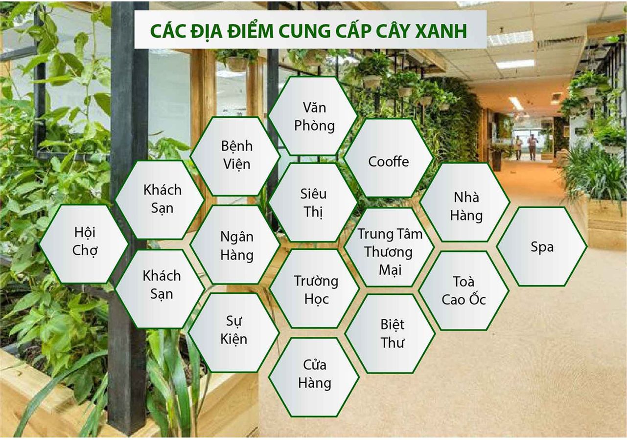 Địa điểm cung cấp cây xanh